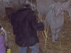 visite de la chèvrerie avec le RAM